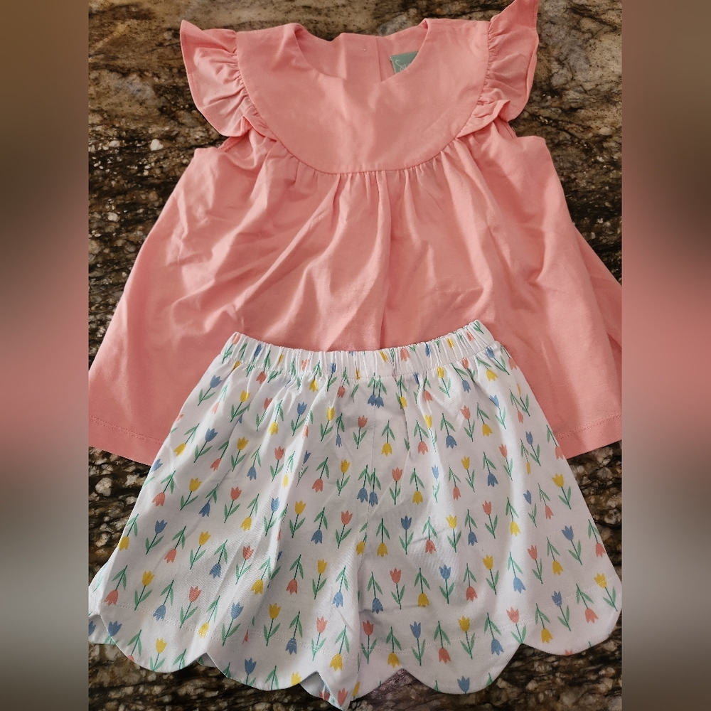 Pink Ruffle Top and Patterned Shorts Set